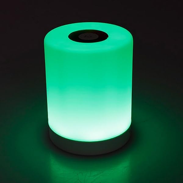 Light Zone® LED Table Lamp